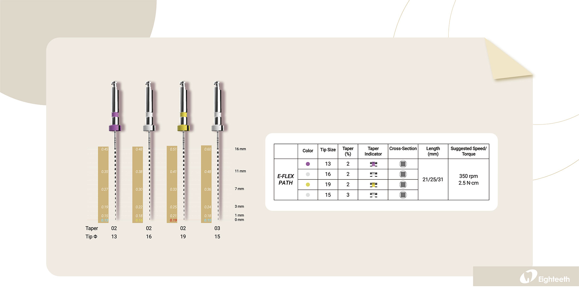E-FLEX PATH