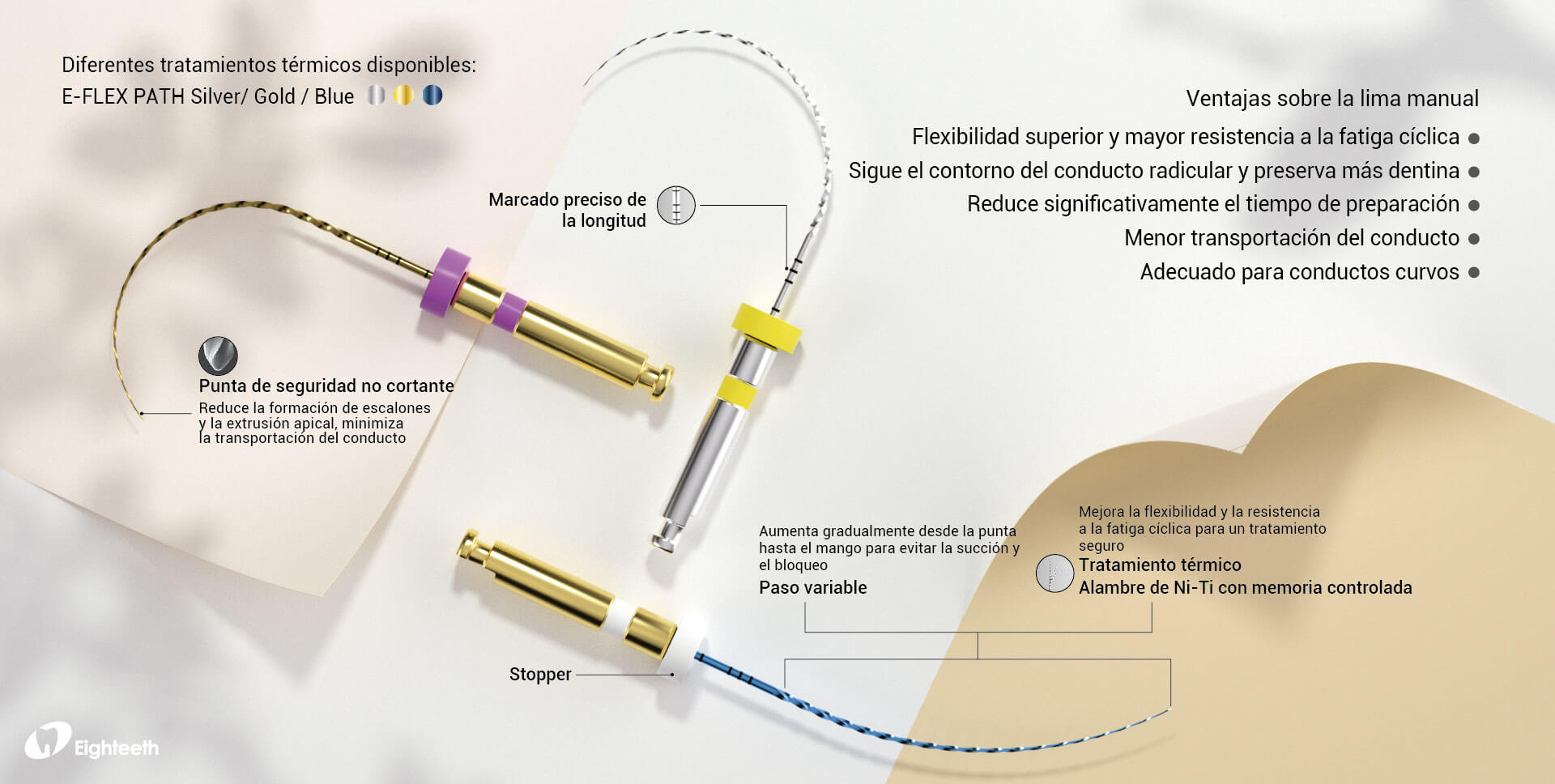 E-FLEX-PATH-4