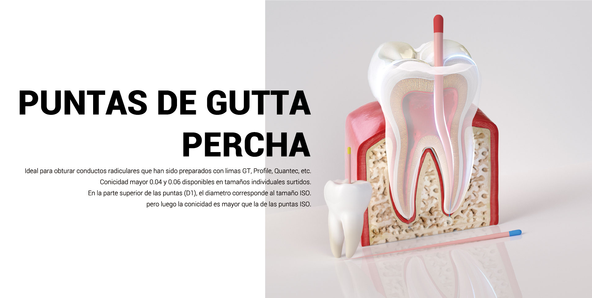 Gutta Percha Points-01