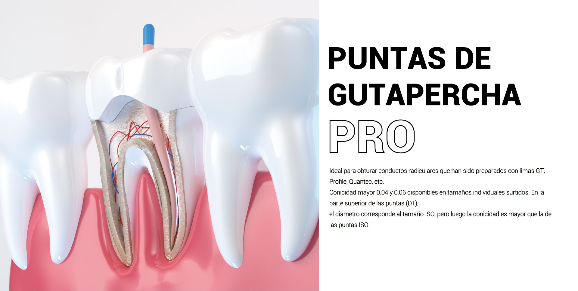 Gutta Percha Points-03